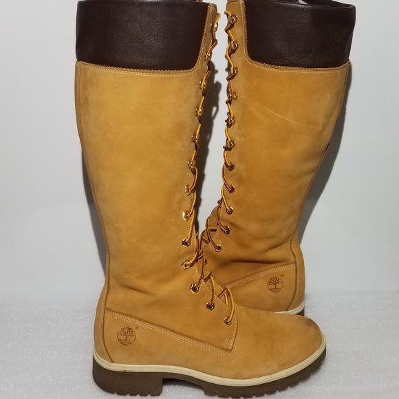women's tall wheat timberland boots